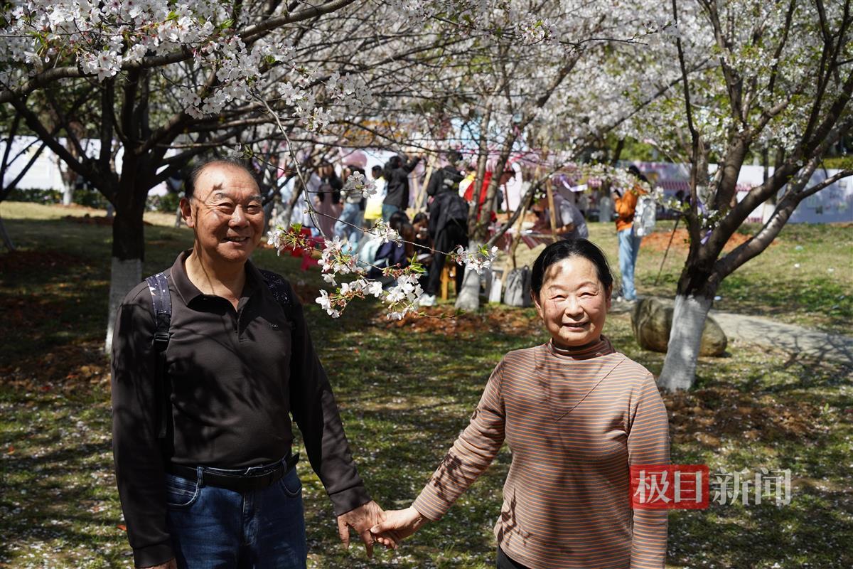 游客在樱花树前合影。通讯员 孙正恒 摄.JPG
