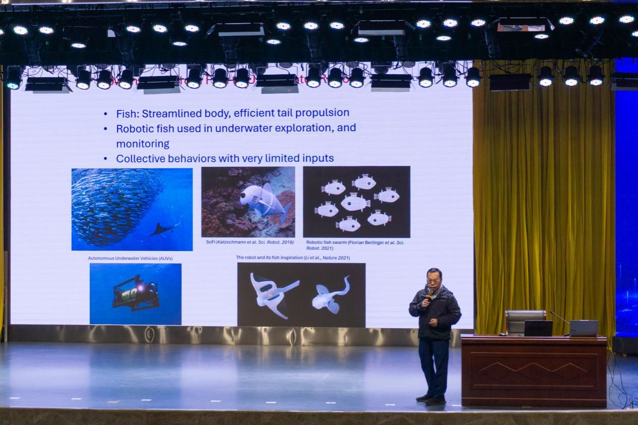 杨先一教授进行汇报中景-刘阳子孑摄