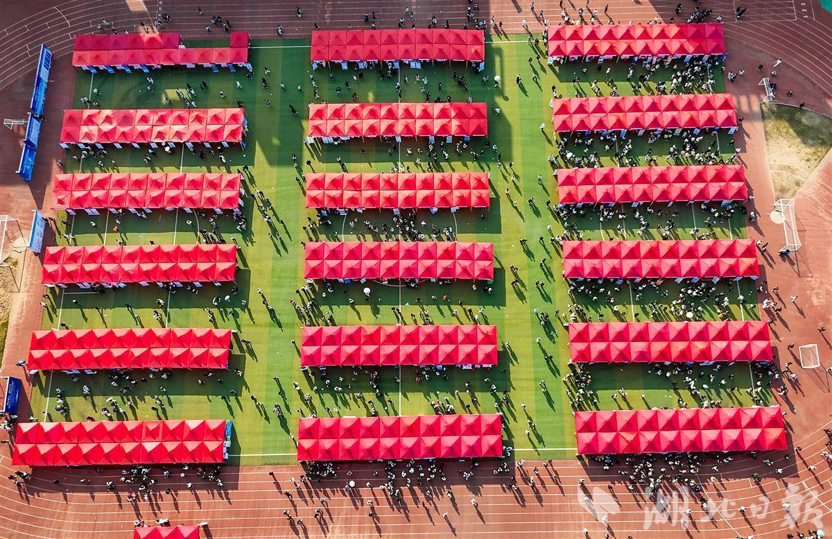 招聘现场。通讯员 李周阳 摄