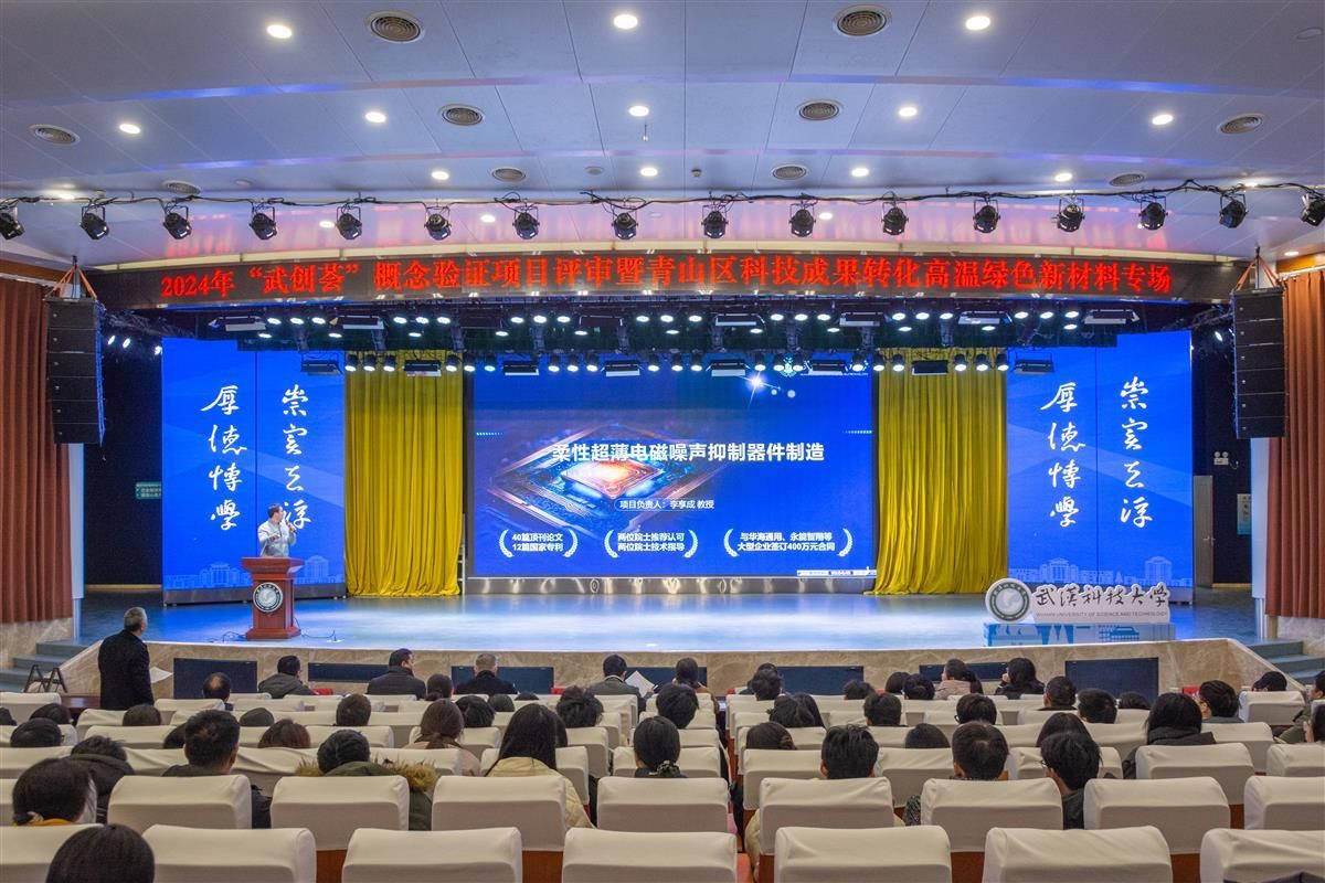 柔性超薄电磁噪声抑制器件制造进行答辩 吴磊摄.jpg